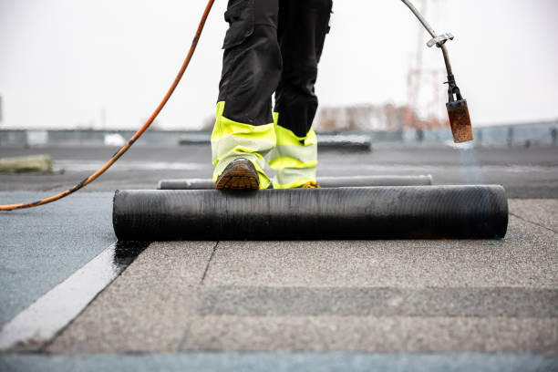 Best Solar Panel Roofing Installation  in Mokuleia, HI